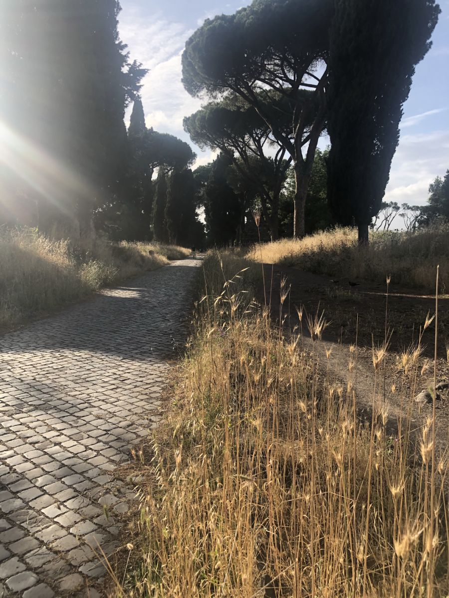 Vegetazione parco Appia Antica